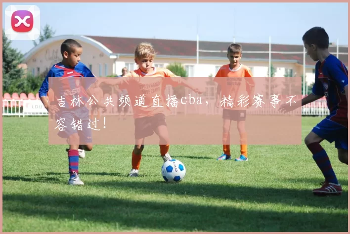 吉林公共频道直播cba，精彩赛事不容错过！