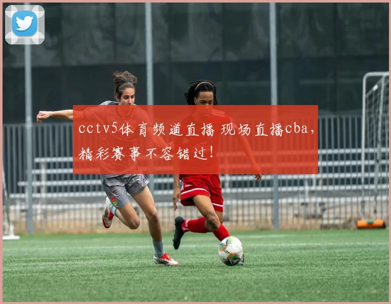 cctv5体育频道直播 现场直播cba，精彩赛事不容错过！